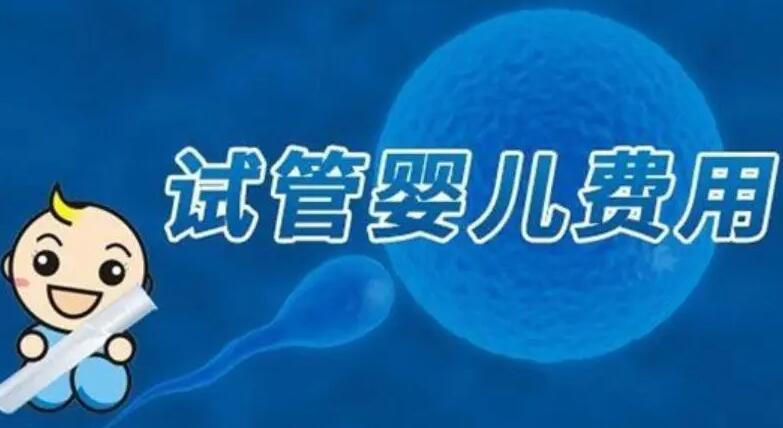 成都試管嬰兒孩子價(jià)格要多少？