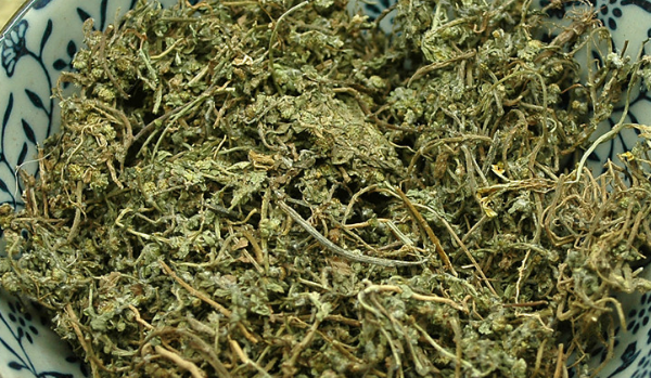 鵝不食草