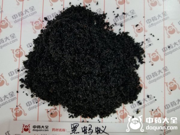 黑螞蟻