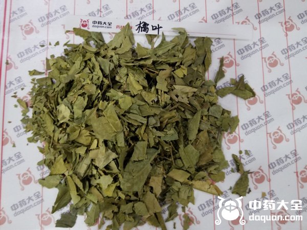 橘葉