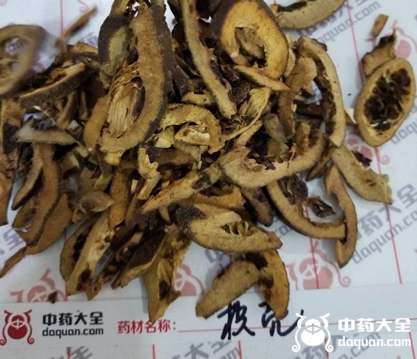 枳殼
