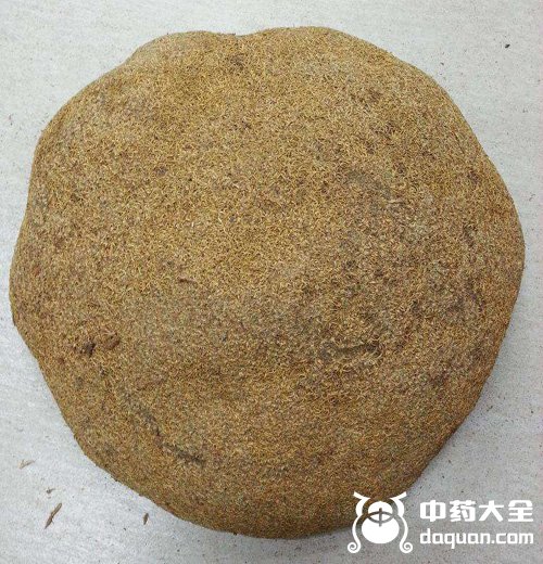 雪靈芝