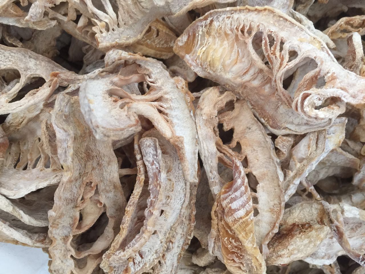 顧筍