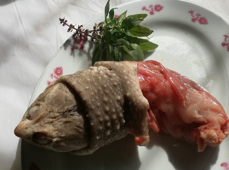 龜肉