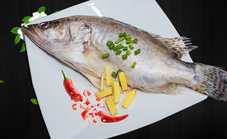 鱖魚