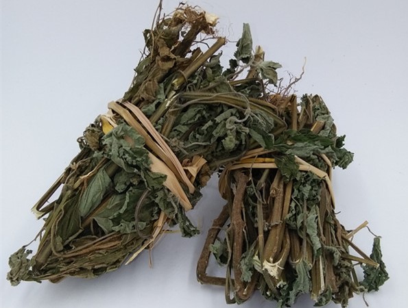 防風(fēng)草