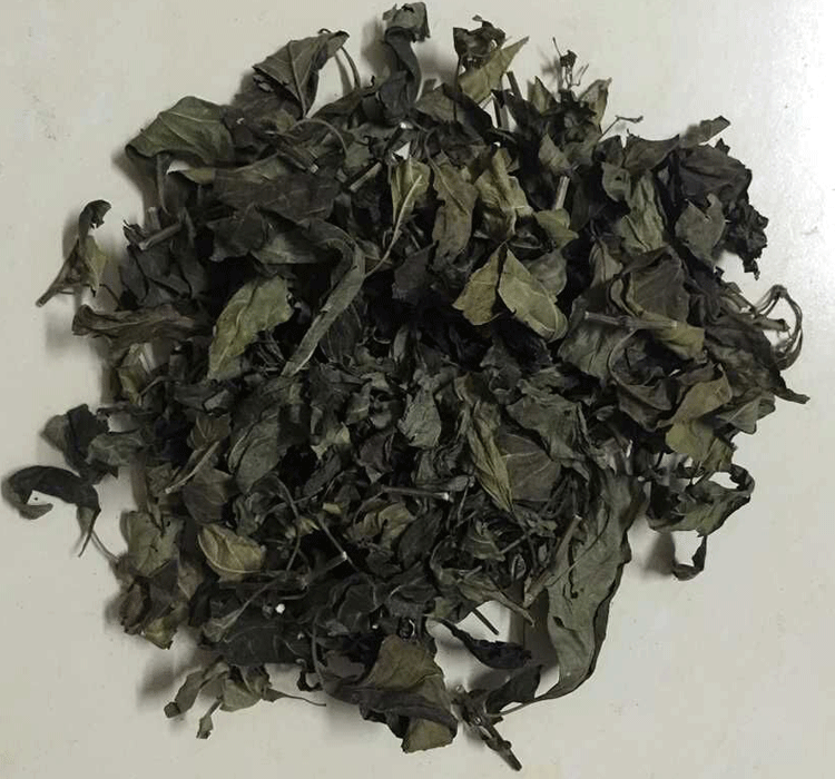 白鶴靈芝