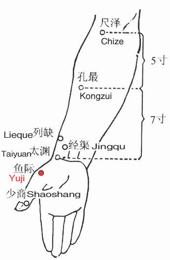 魚際穴
