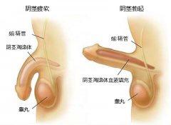 性功能障礙