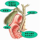 外傷性膽管損傷 外傷性膽管損傷