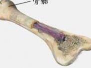 先天性半側(cè)肥大 先天性半側(cè)肥大